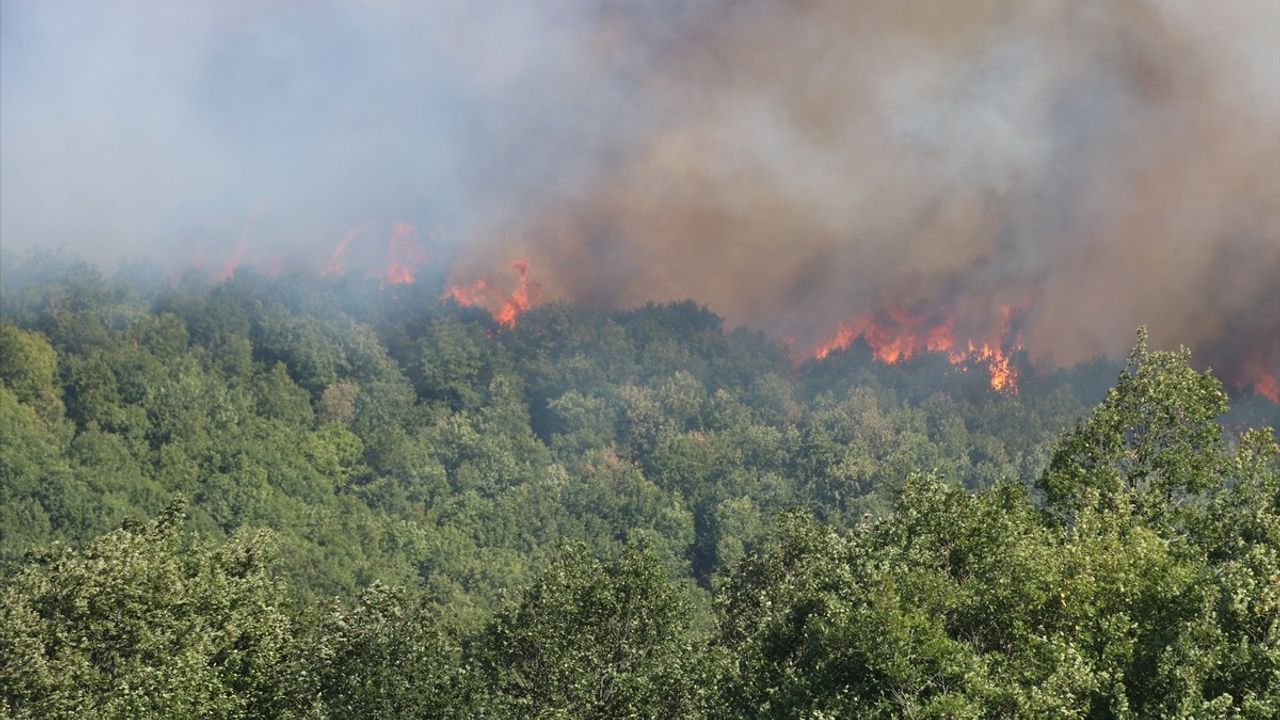 Kocaeli Karamürsel'de orman yangınına müdahale sürüyor; 3 mahalle tedbir amaçlı tahliye edildi