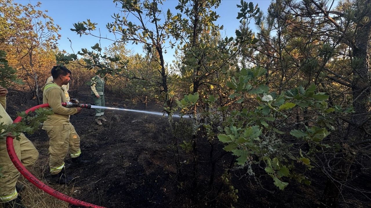 Kastamonu Daday Gökören'de Orman Yangını Söndürüldü