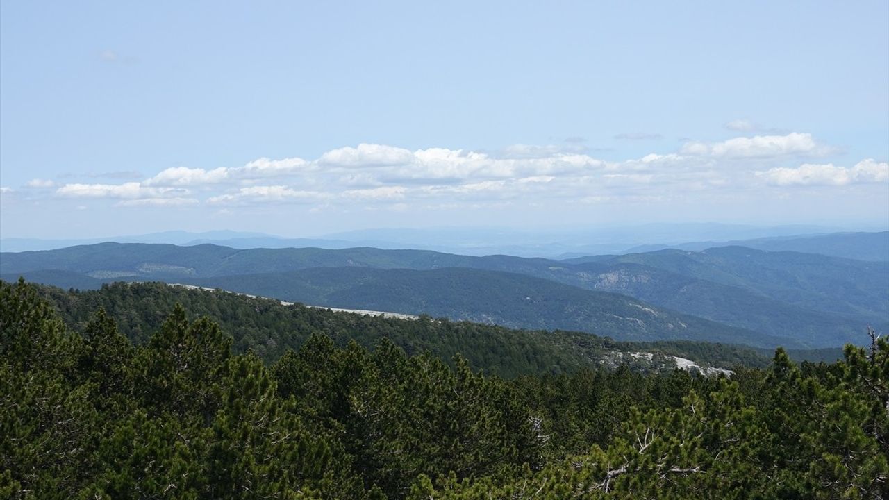 Kazdağları'nın jeolojik yapısı ve bitki çeşitliliği: 79 endemik, 29 yalnızca Kazdağları'nda