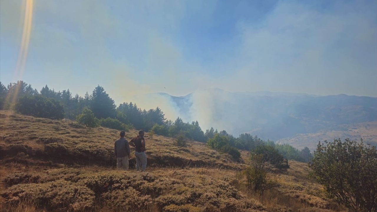 Kelkit'te Orman Yangını Söndürüldü: 15 Dönüm Etkilendi, Şüpheli Gözaltında