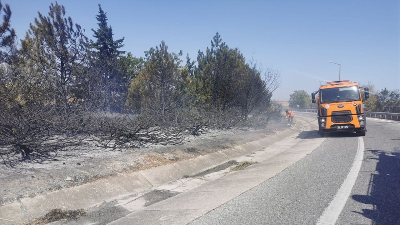 Kırklareli'de anız yangını ağaçlık alana sıçradı; Avrupa Otoyolu ve D-100 kapatıldı