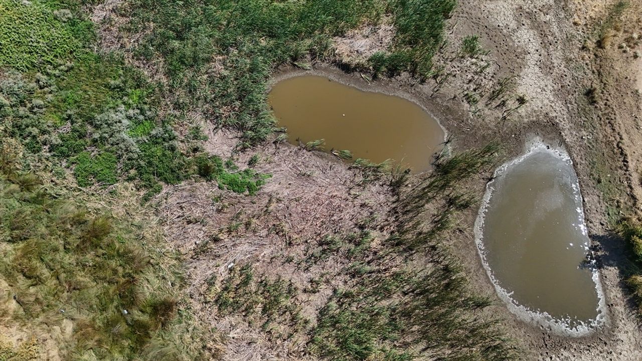 Kırklareli'de Sazlık Göleti kuraklık nedeniyle kuruma noktasına geldi