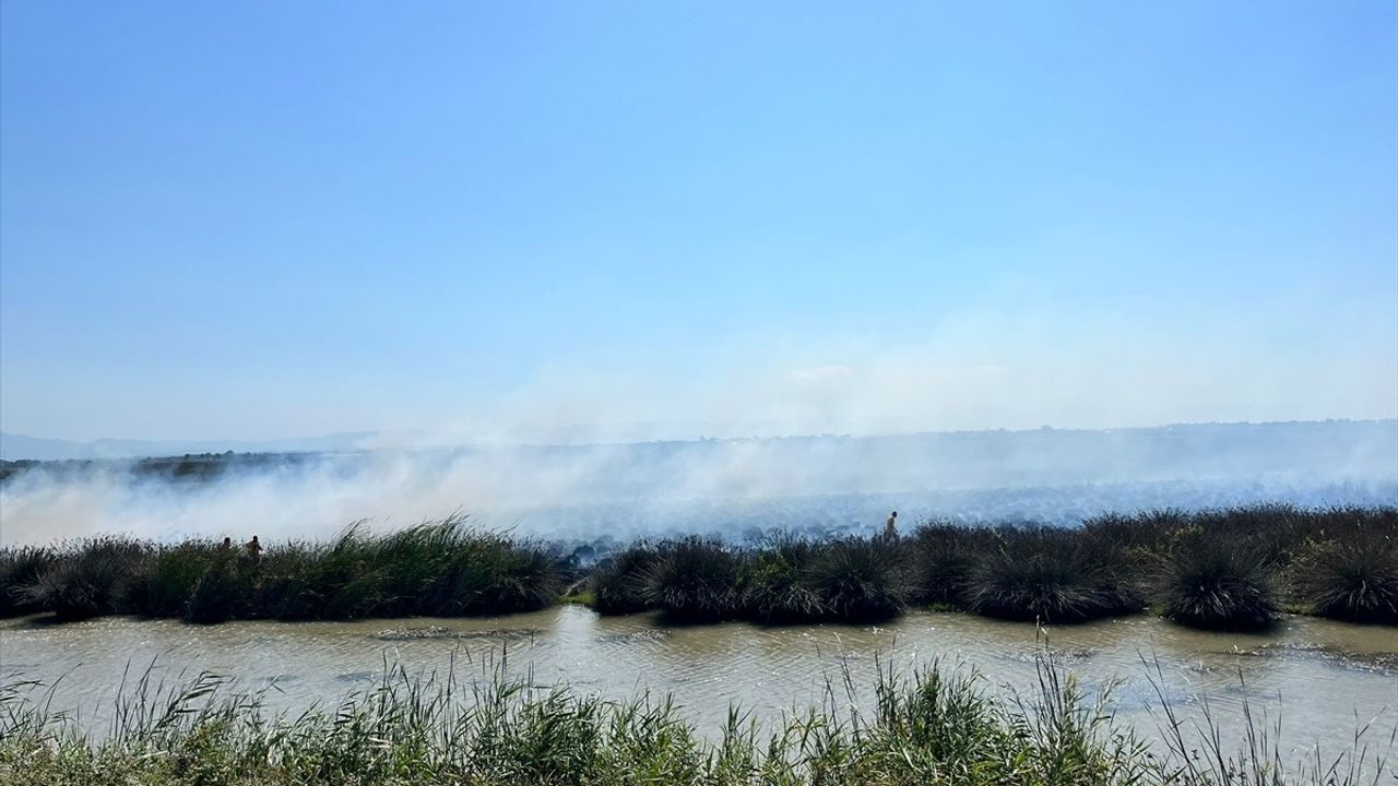 Kızılırmak Deltası Kuş Cenneti'nde 15 dönümlük sazlıkta yangın