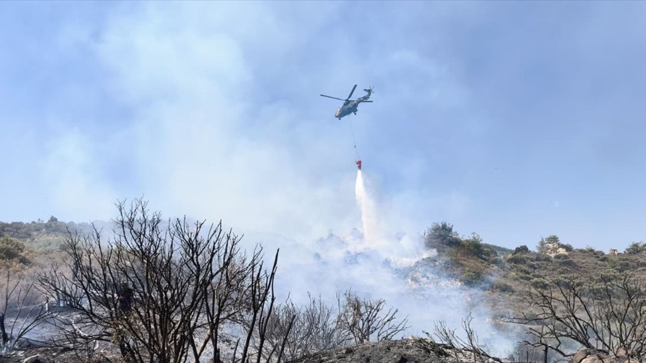 KKTC Girne Ciklos'ta Orman Yangını Kontrol Altına Alındı