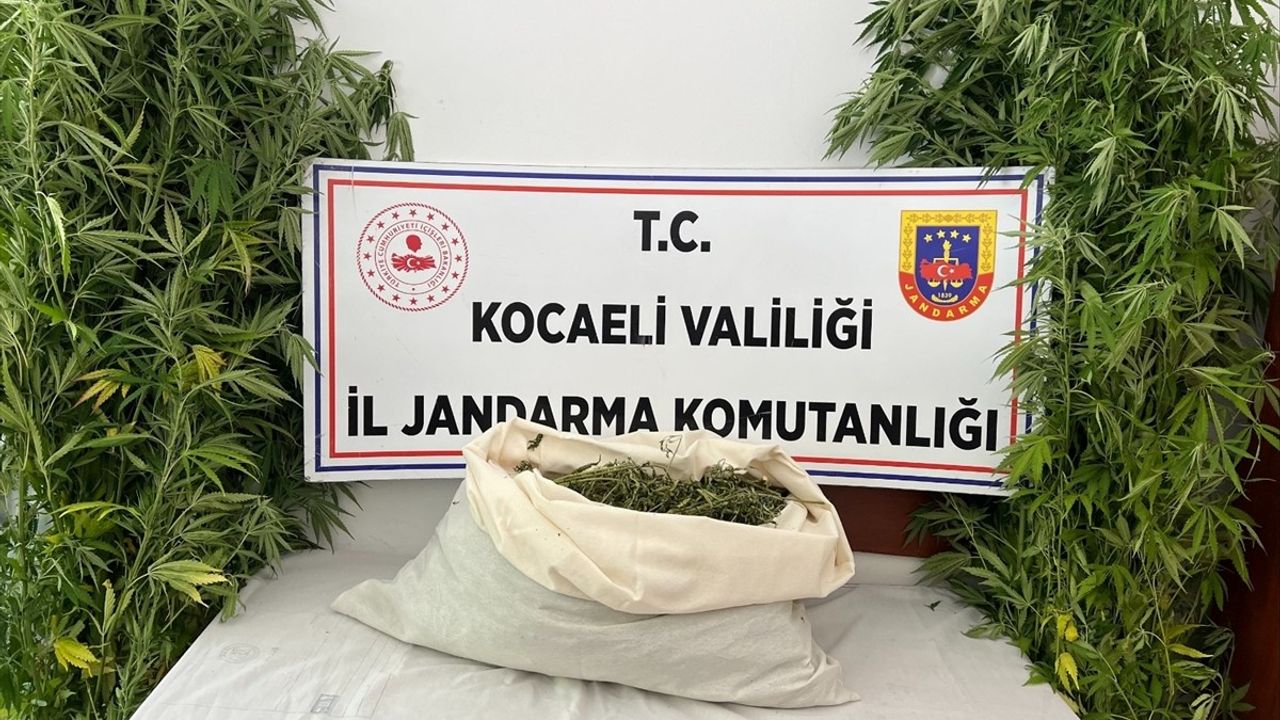 Kocaeli'de uyuşturucu operasyonunda 2 zanlı tutuklandı