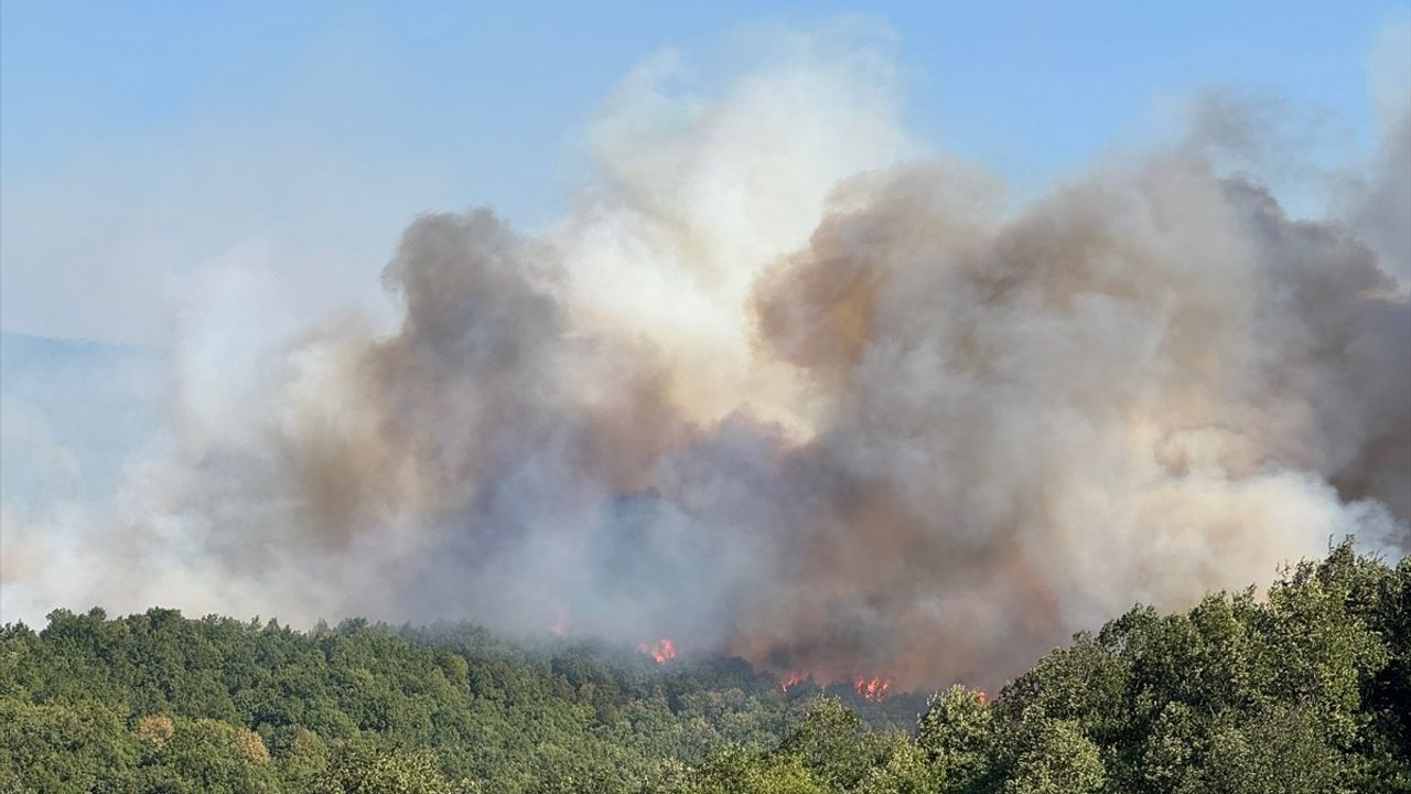 Kocaeli Karamürsel'de orman yangınına 3 uçak, 8 helikopter ve 75 araçla müdahale sürüyor