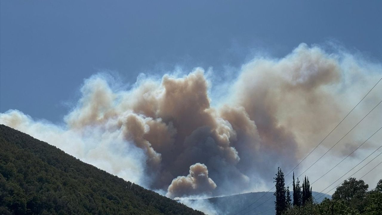Kocaeli Karamürsel Suludere'de orman yangınına müdahale ediliyor