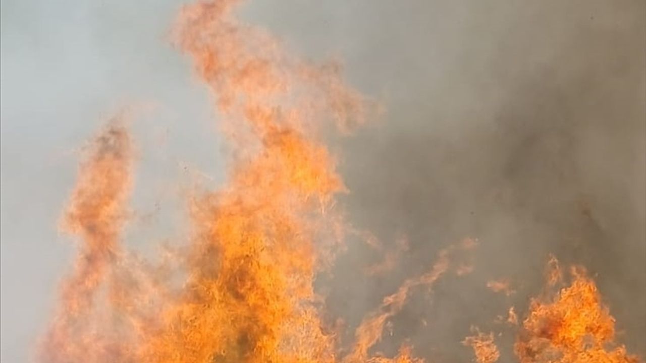 Malatya Doğanyol'da orman yangınına müdahale sürüyor