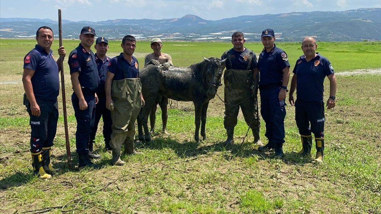 Manisa'da Katırlarını Kurtarmak İsterken Bataklığa Saplanan Kişi Kurtarıldı