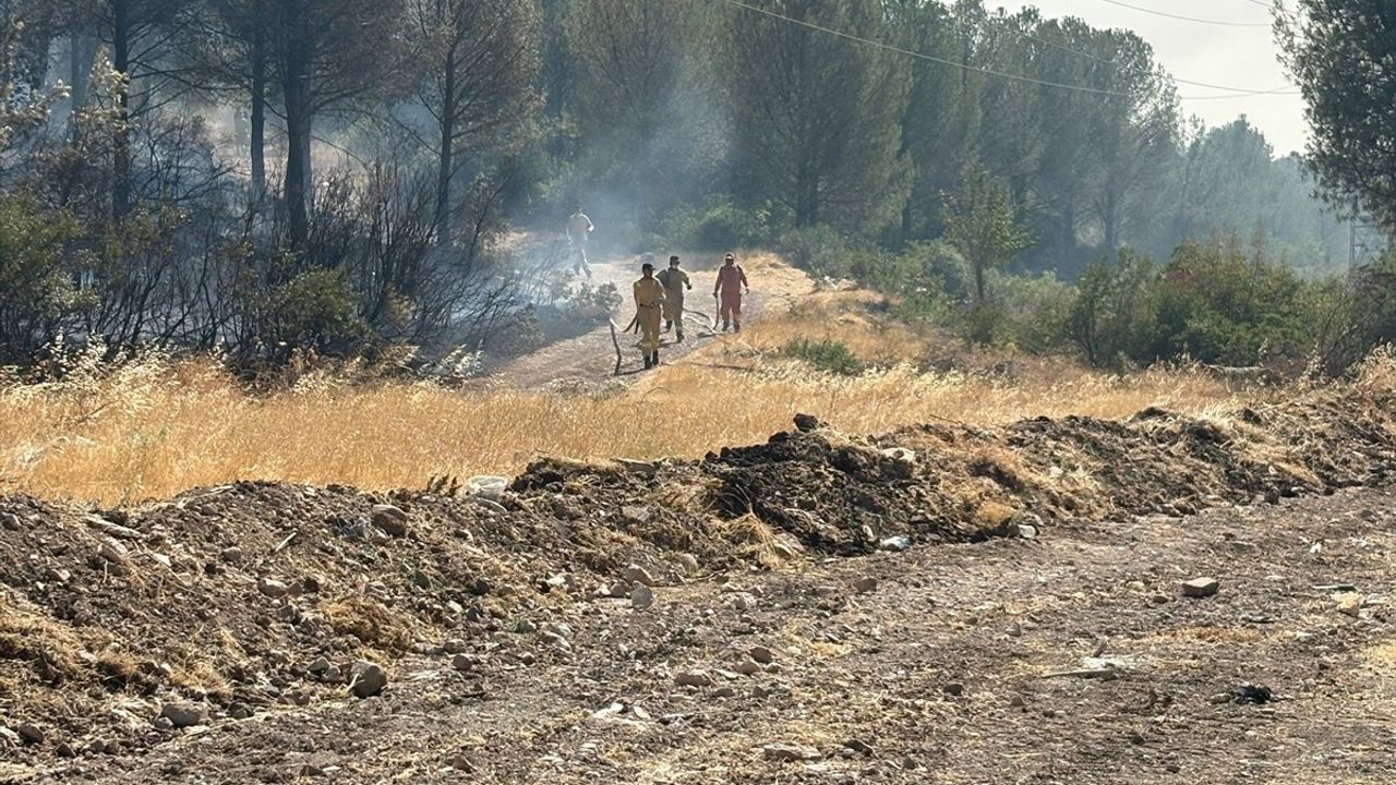 Manisa'nın Şehzadeler ve Alaşehir İlçelerinde Orman Yangınlarıyla Mücadele Başlatıldı