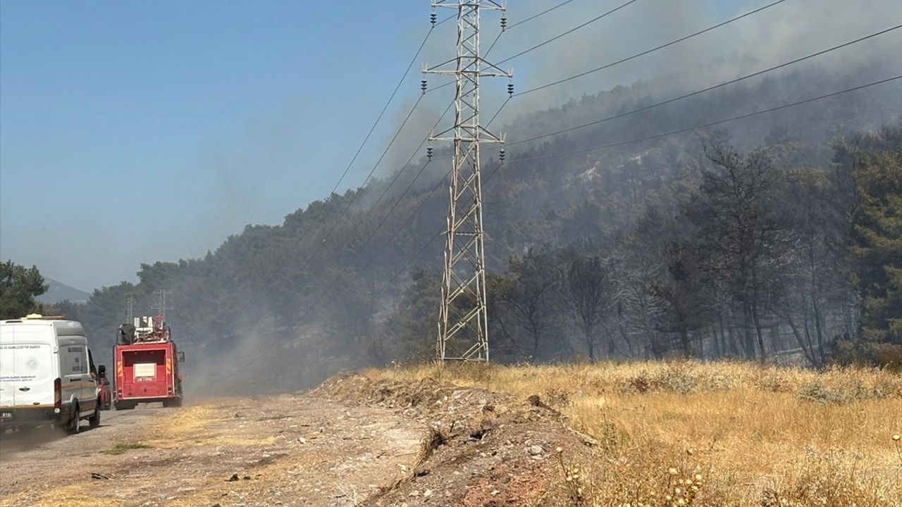 Manisa Soma'da Orman Yangınına Hızlı Müdahale Devam Ediyor