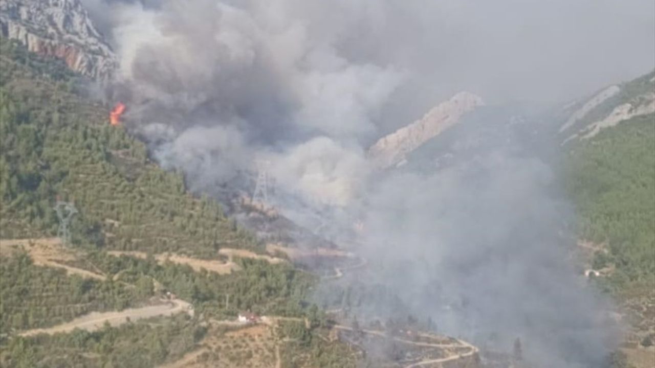 Mersin Anamur'da Korucuk Mahallesi'nde orman yangını — Havadan ve karadan müdahale ediliyor