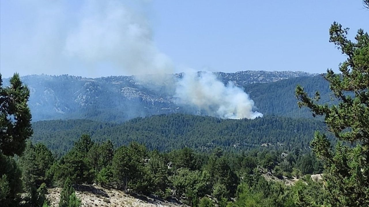 Mersin'in Bozyazı İlçesinde Orman Yangını: Hava ve Kara Ekipleri Müdahale Ediyor