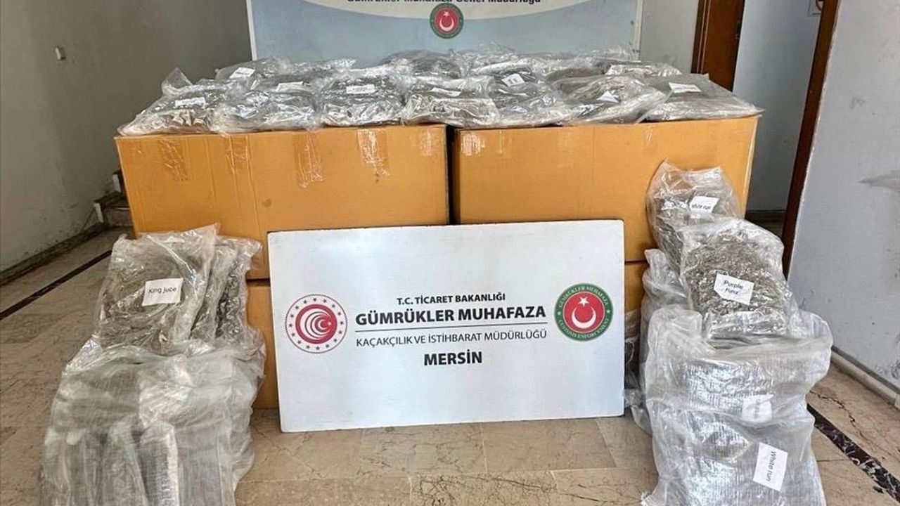 Mersin Limanı'nda 587 Kilogram Esrar Ele Geçirildi