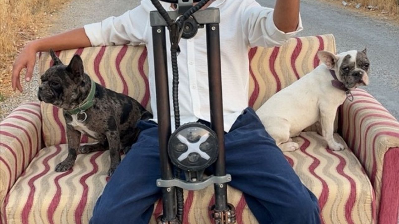 Muğla'da çift kişilik koltuk monte edilmiş skuterde köpekleriyle yolculuk