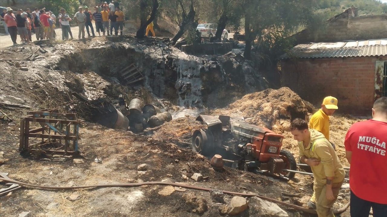 Muğla'da Traktör Devrildi, Sürücü Hayatını Kaybetti