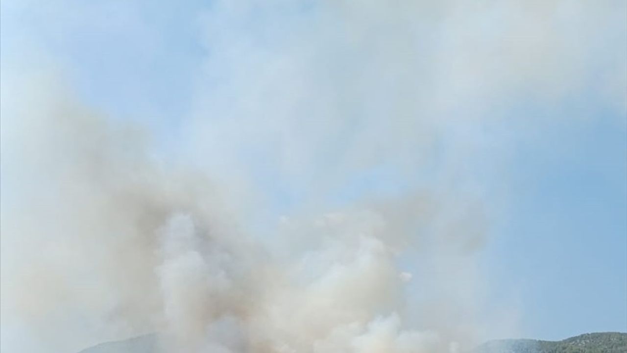 Muğla Seydikemer'de Kabaağaç Mahallesi'ndeki orman yangını kontrol altına alındı