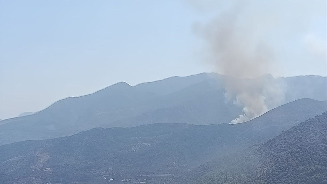 Muğla Seydikemer'de orman yangını: Kabaağaç Mahallesi yakınlarında müdahale devam ediyor