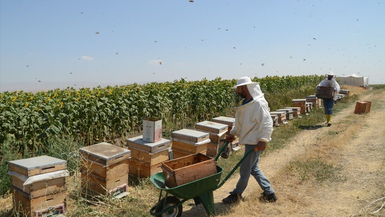 Muş Alparslan Üniversitesi'nde Bal Hasadı Başladı