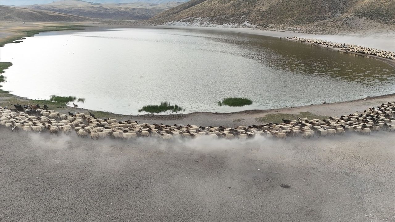 Nemrut Dağı'ndaki Kalp Gölü, Küçükbaş Hayvan Sürülerine Serinleme İmkanı Sunuyor