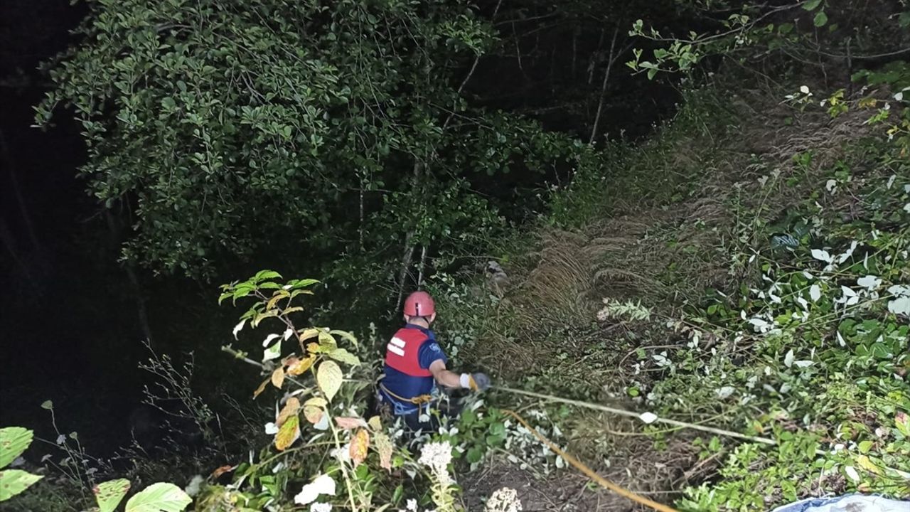 Ordu'da tarım aracı uçuruma yuvarlandı: Sürücü öldü, babası yaralandı
