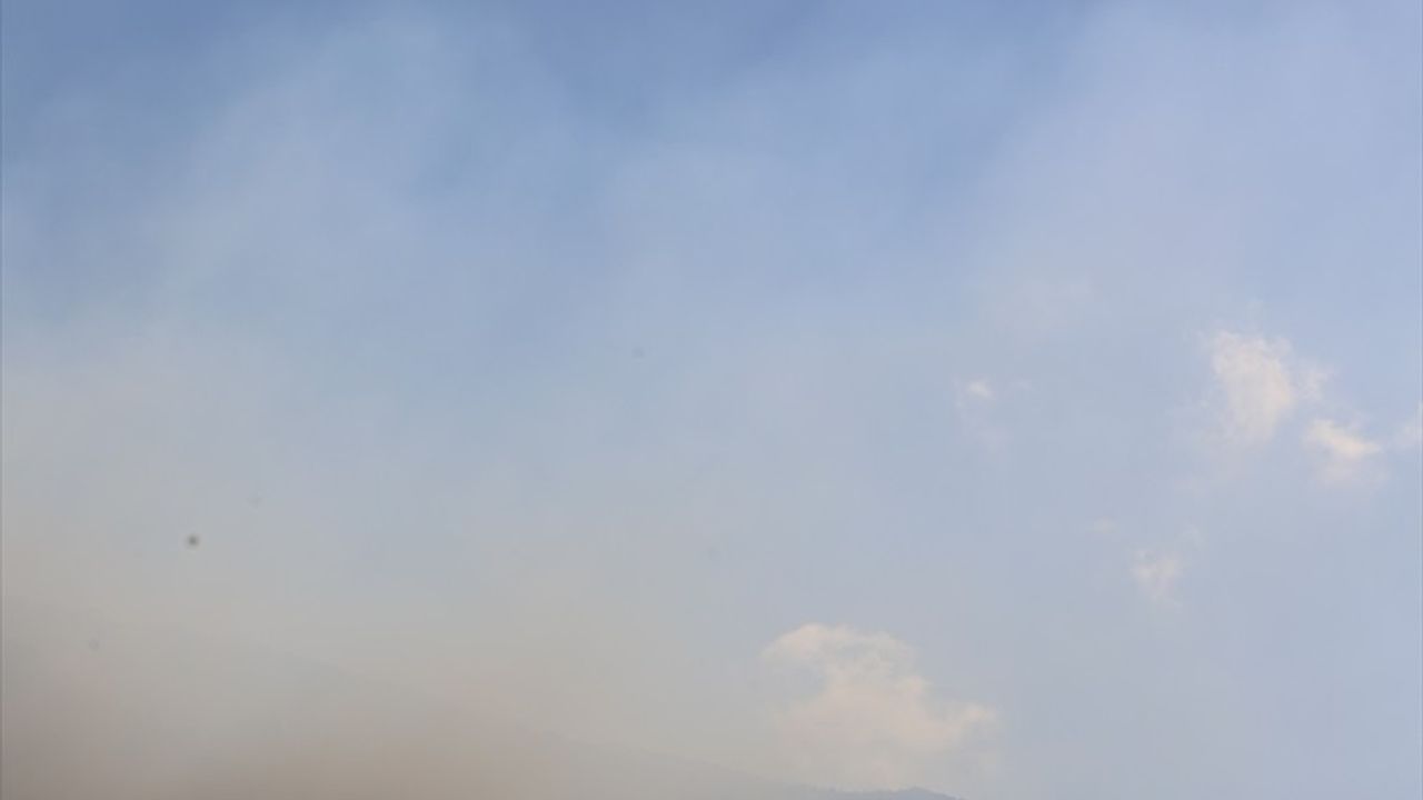 Pamukkale'deki orman yangını büyük ölçüde kontrol altına alındı