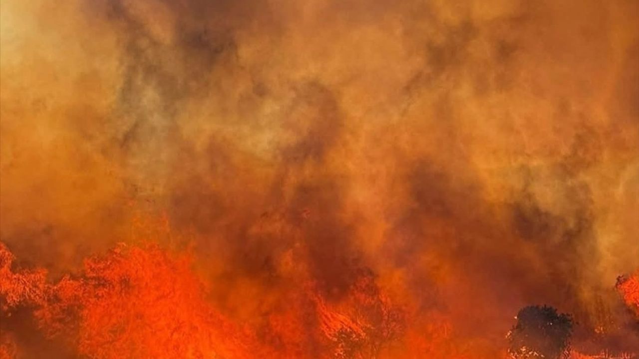 Paşalimanı Adası'nda orman yangınına müdahale sürüyor