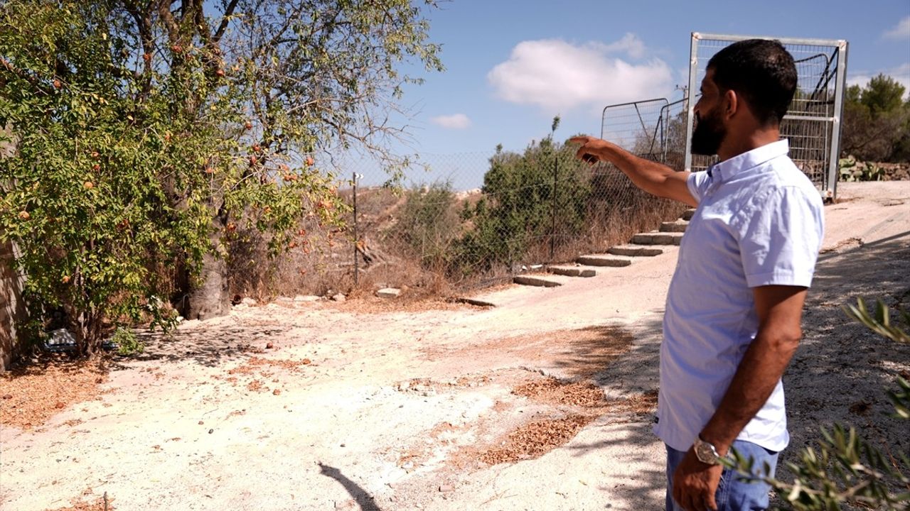 Ramallah yakınlarındaki Sincil'de Aid Gafri: 'Hiçbir şey beni toprağımdan koparamaz'
