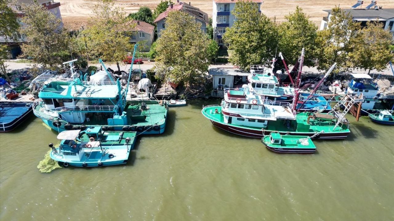 Sakarya'da balıkçılar 1 Eylül av sezonunu bekliyor; hamsi erkenden görüldü