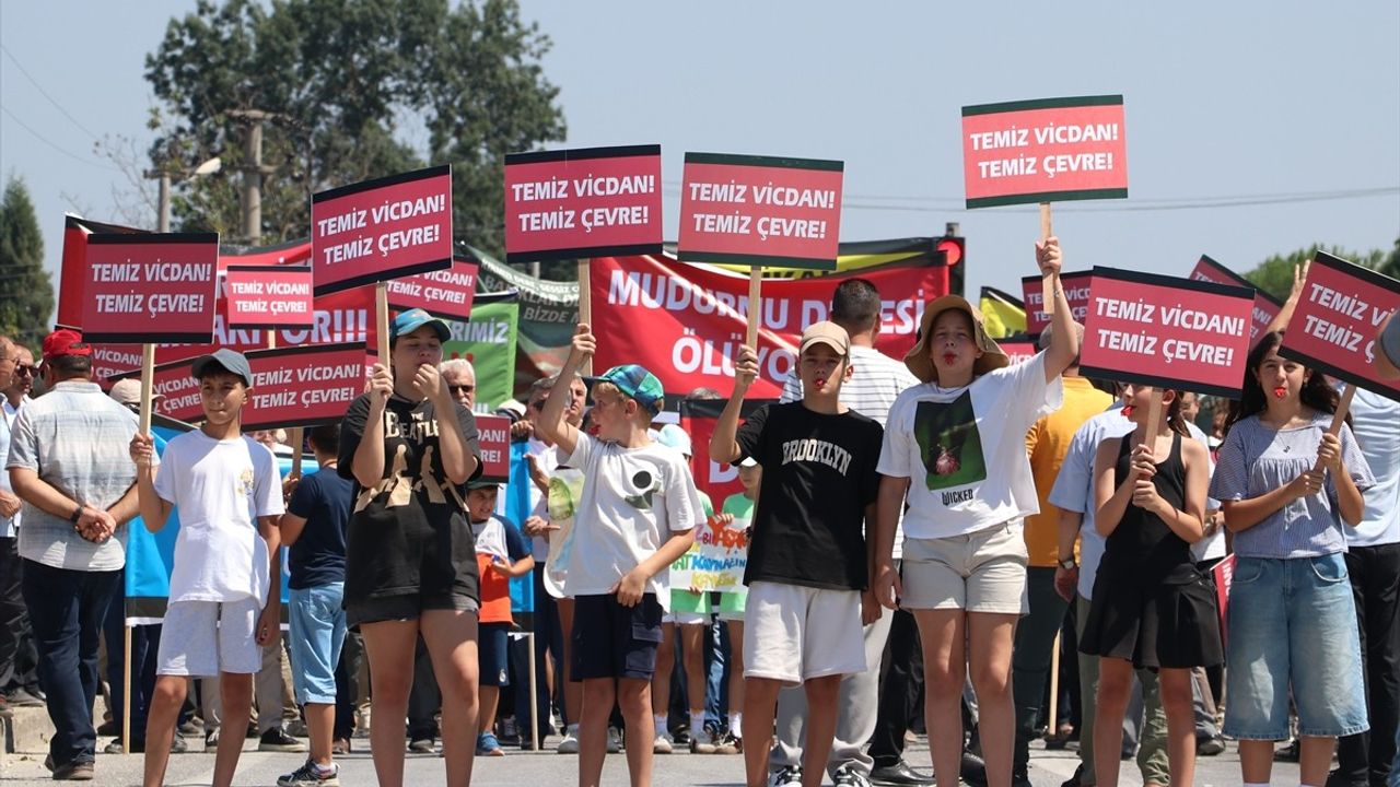 Sakarya'da Mudurnu Çayı'nı kirleyen firmanın faaliyetleri geçici olarak durduruldu