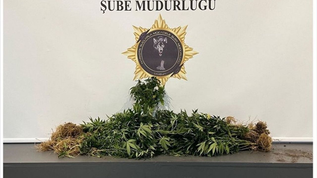 Samsun'da Uyuşturucu Operasyonunda 10 Kişi Yakalandı