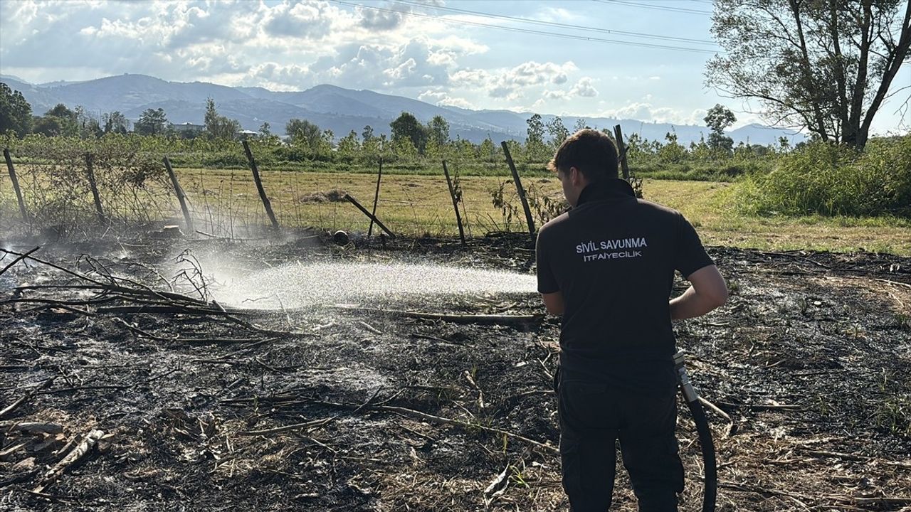 Samsun Tekkeköy'de tarlada çıkan yangın ekiplerin hızlı müdahalesiyle kontrol altına alındı