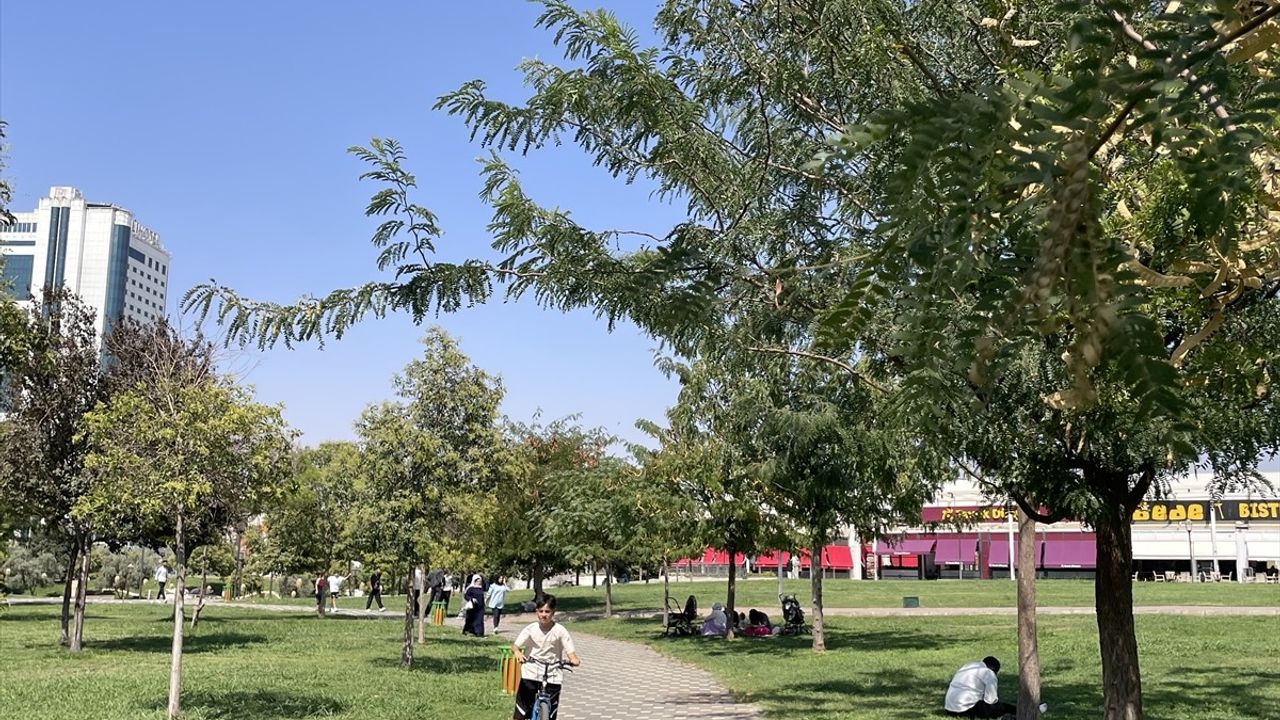 Şanlıurfa'da Kavurucu Sıcaklar Devam Ediyor