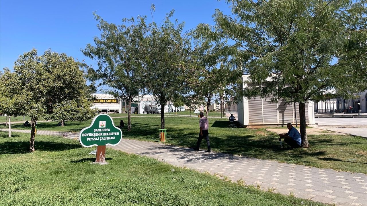 Şanlıurfa'da termometreler 55 dereceyi gösterdi