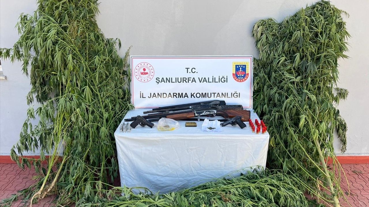 Şanlıurfa'da uyuşturucu ve silah kaçakçılığı operasyonu: 6 gözaltı