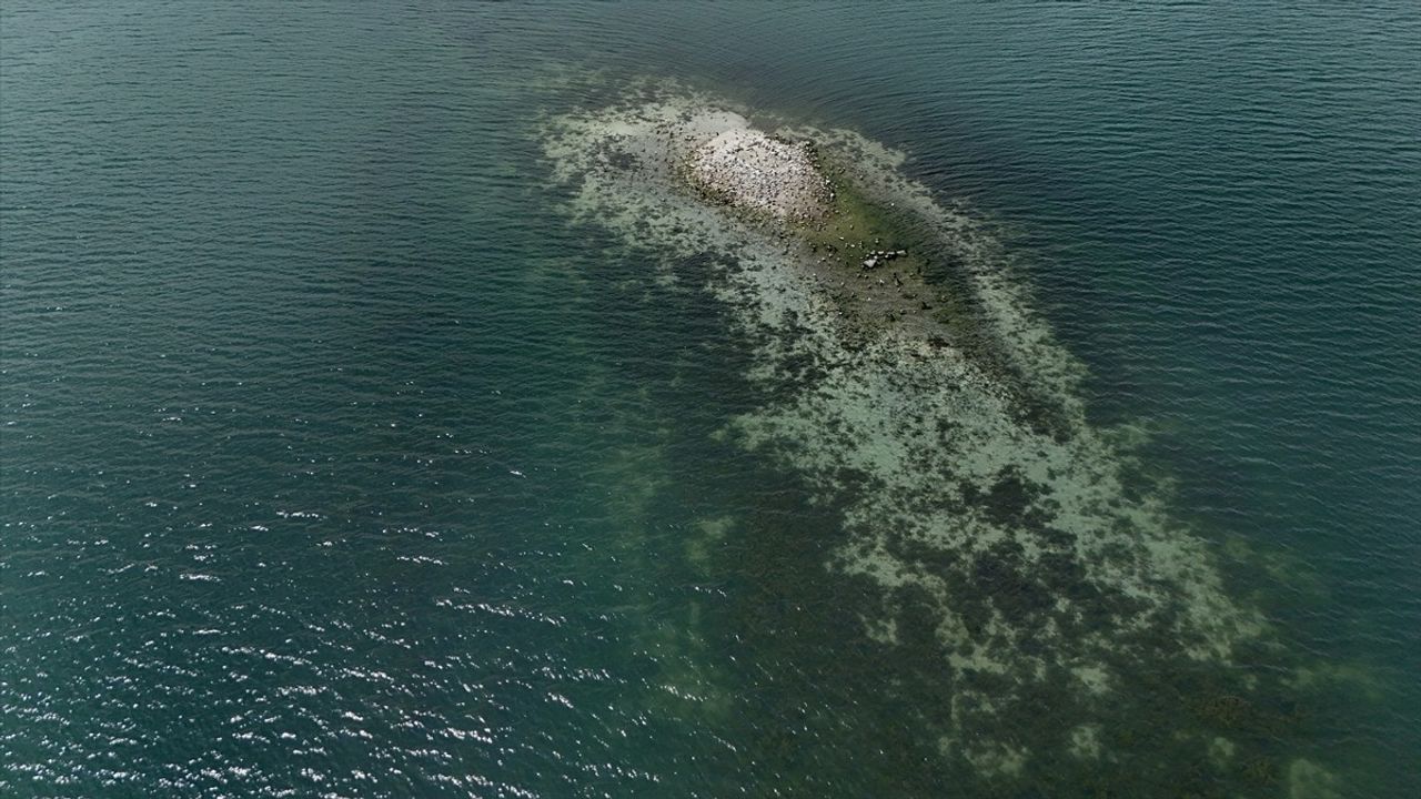 Sapanca Gölü'nde Su Seviyesi Kritik Eşiği Geçti: Kalıntılar Ortaya Çıktı