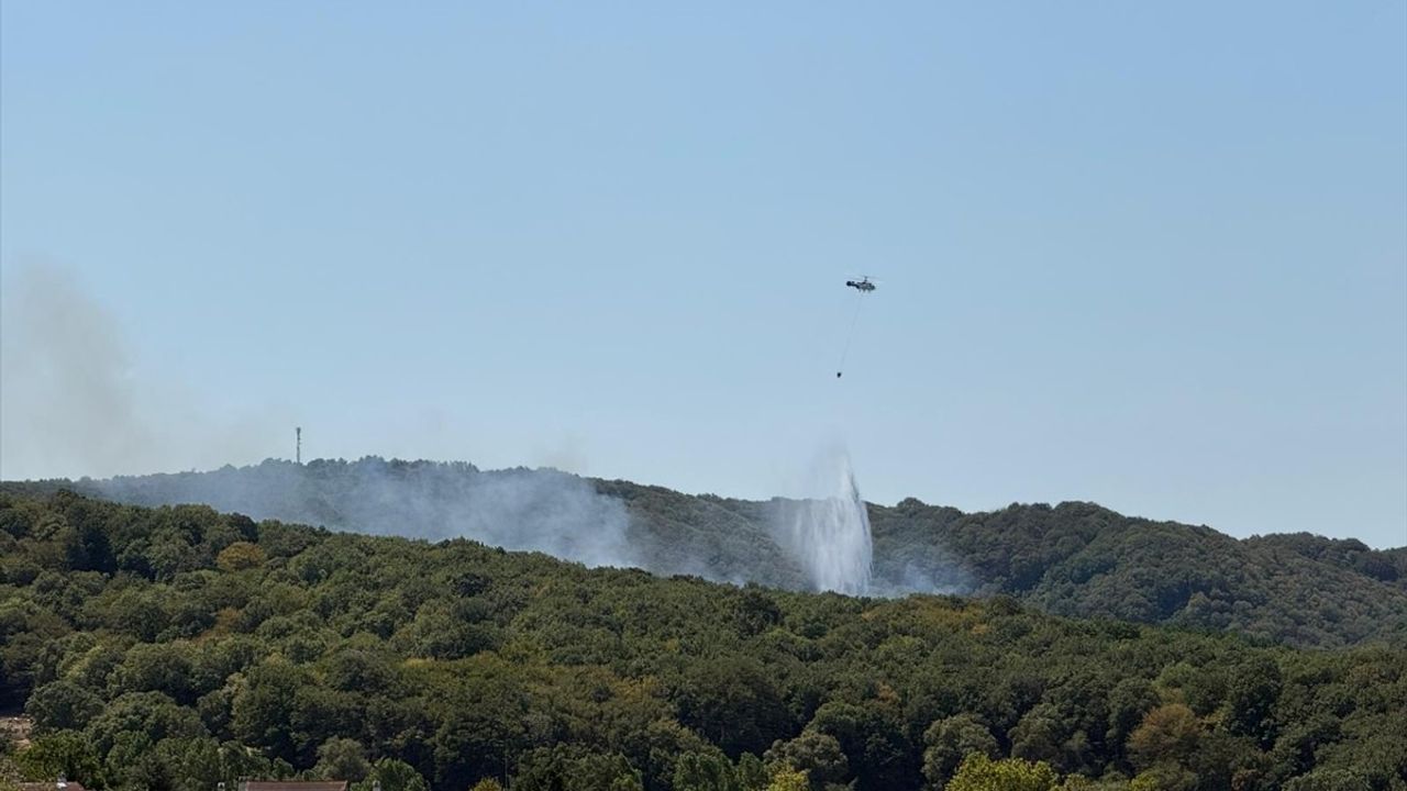 Sarıyer Zekeriyaköy’de orman yangınına havadan ve karadan müdahale ediliyor