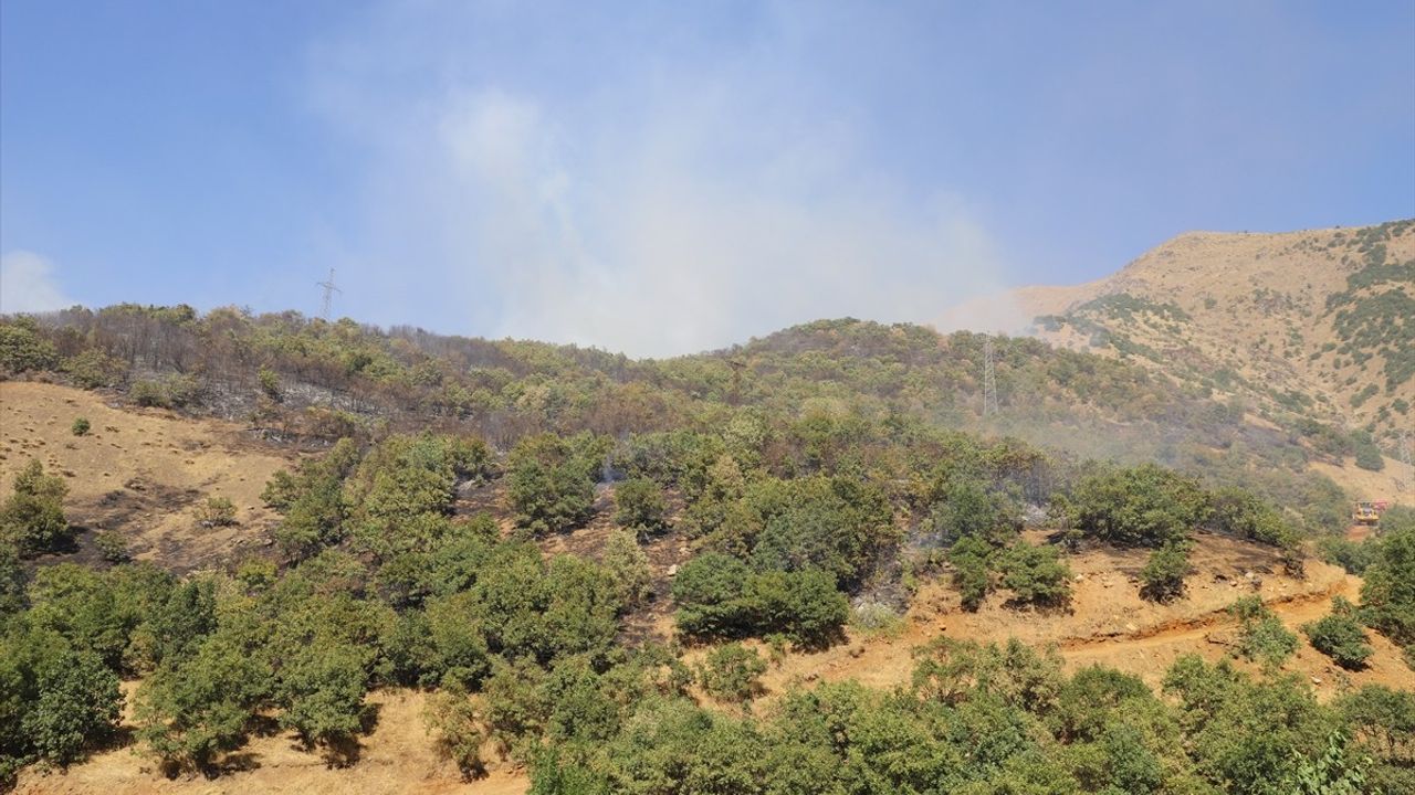 Şemdinli'de Kayalar köyü kırsalında çıkan ağaçlık yangın söndürüldü