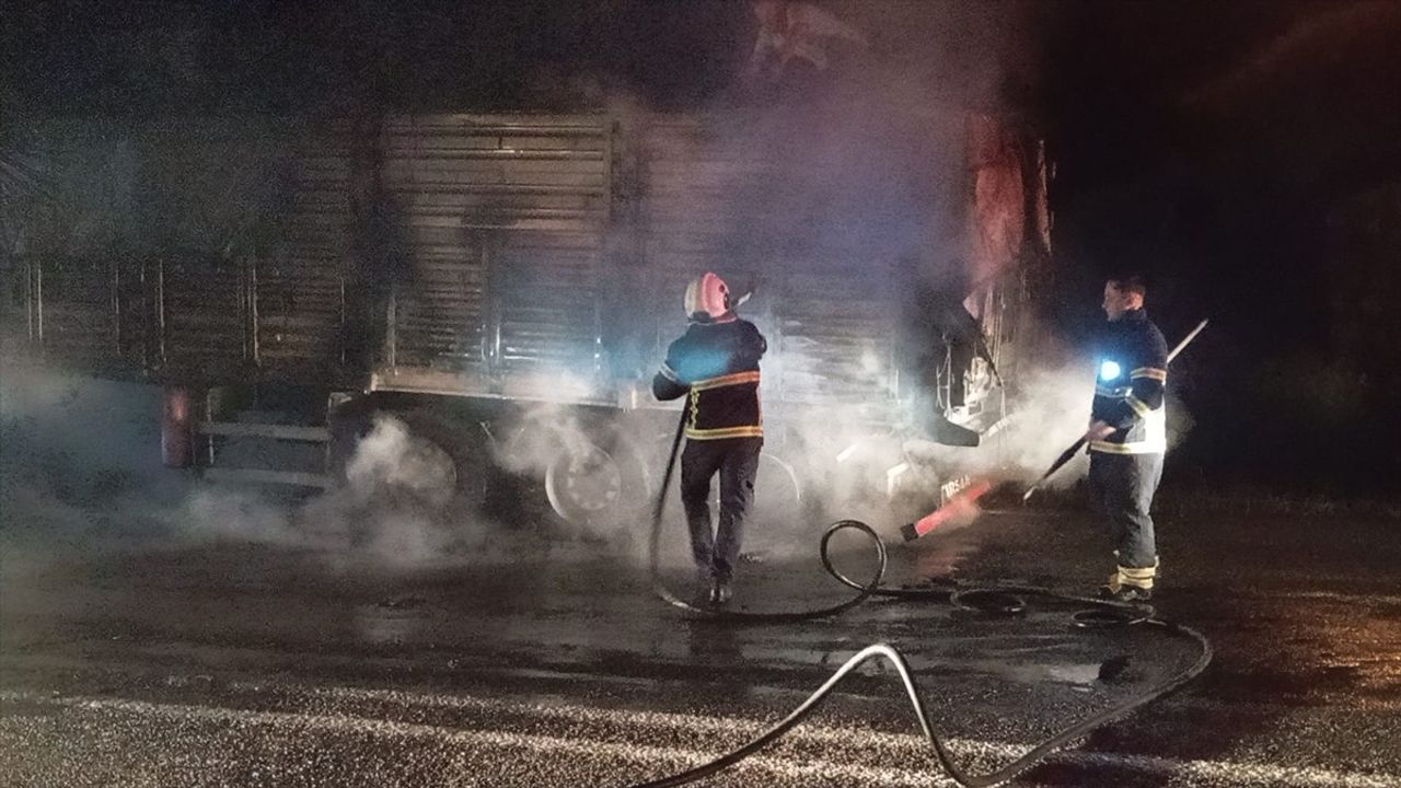 Siirt'te Buğday Yüklü Tır Yangını: Araç ve Yük Zarar Gördü