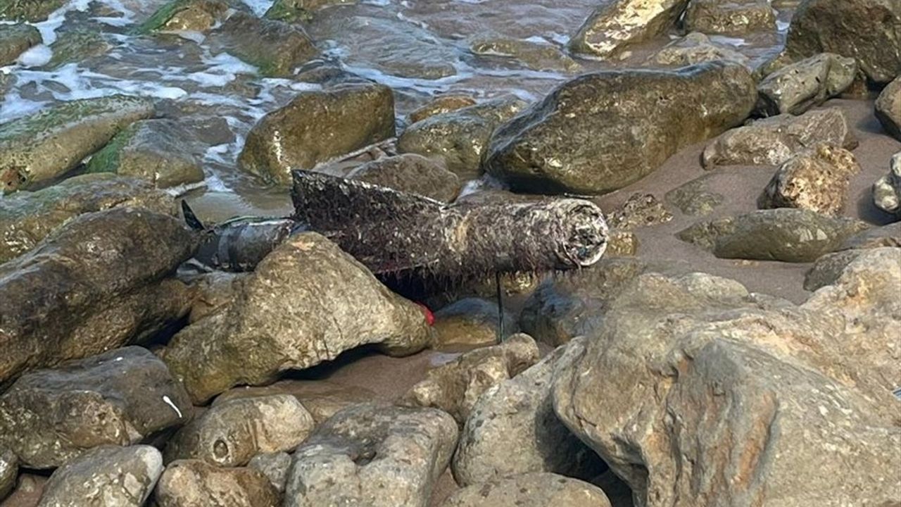 Şile Kırandere Plajı'nda mühimmat olduğu değerlendirilen cisim kontrollü şekilde imha edildi