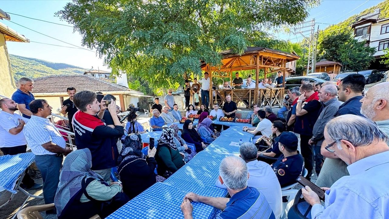 Sinop'ta coğrafi işaretli Boyabat Gazidere domatesinin hasadı başladı