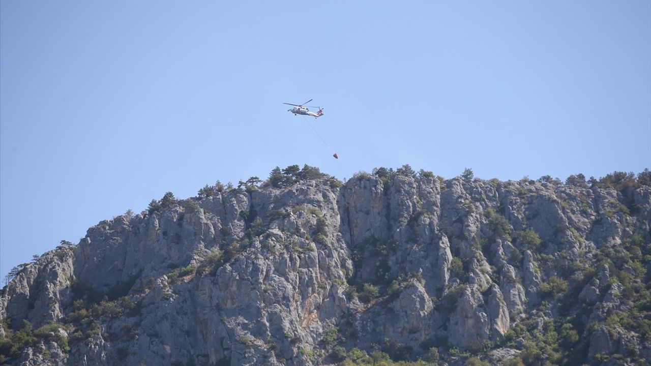 Sinop'ta Orman Yangını Kontrol Altına Alındı, Müdahale Devam Ediyor