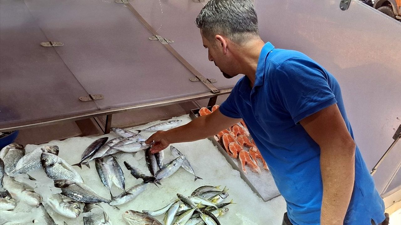 Sinop'ta palamut tezgâhlarda tanesi 350 TL'den satılıyor; stok azlığı ve kısa sezon endişesi