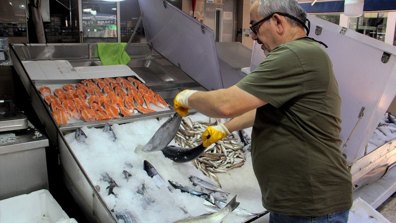 Sinop'ta sezonun ilk torikleri tezgahlarda; palamutlarda küçülme gözlemlendi