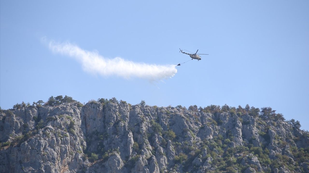 Sinop'taki Orman Yangını Kontrol Altına Alındı