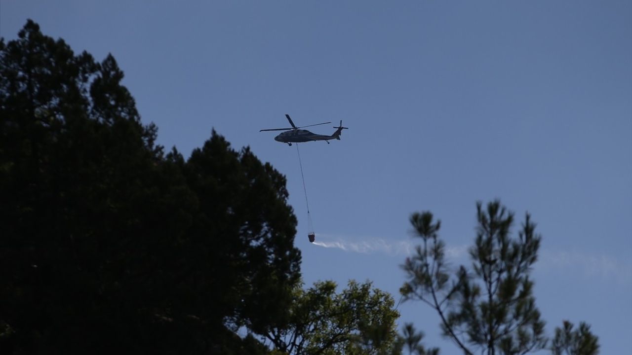 Sinop'taki Orman Yangınına Hızla Müdahale Ediliyor