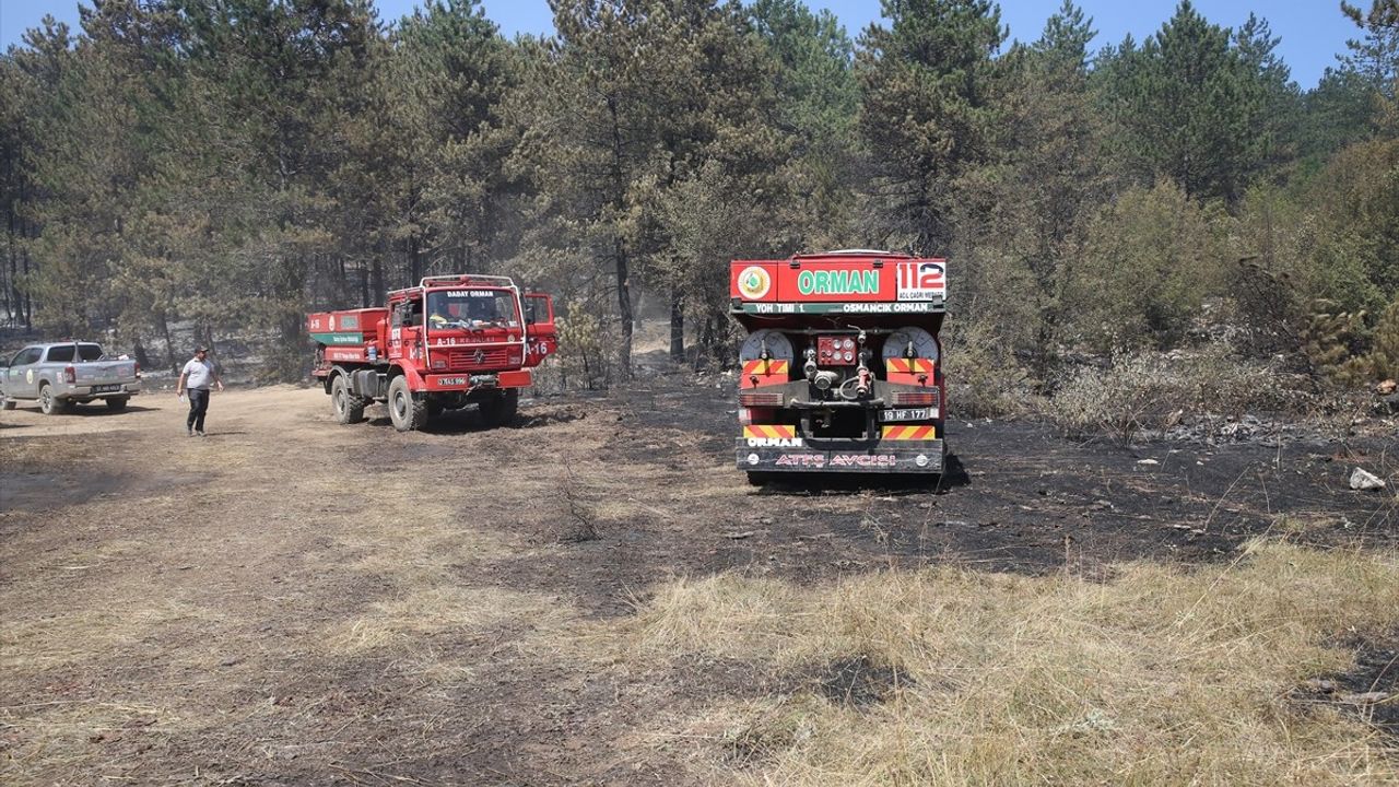 Sinop'taki Orman Yangınına Sürekli Müdahale Devam Ediyor