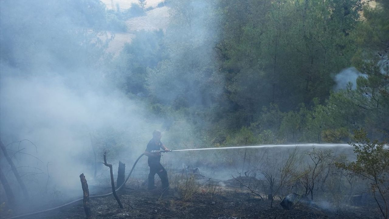 Sinop'un Gerze ilçesi Belören'de orman yangınına ekipler müdahale ediyor