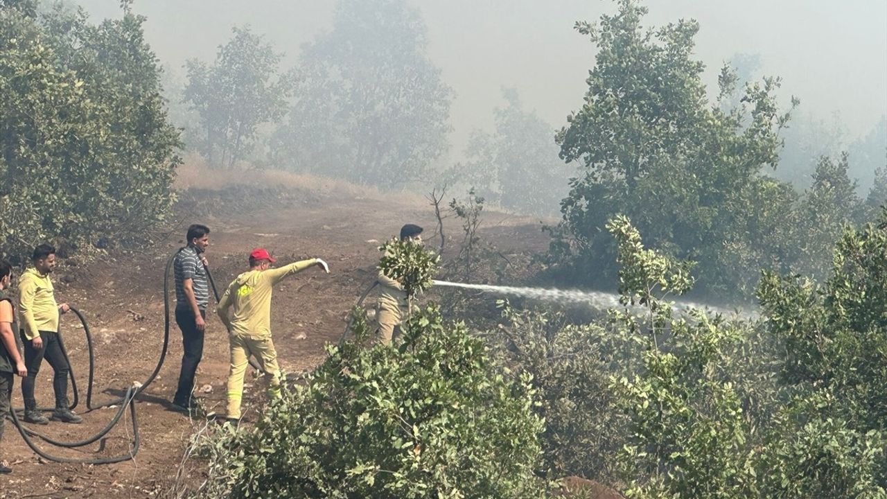Şırnak'ta Orman ve Örtü Yangını Kontrol Altına Alındı