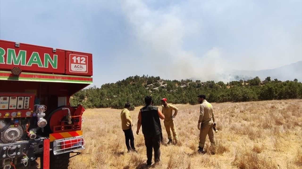 Şırnak'ta Orman Yangınına Havadan ve Karadan Müdahale